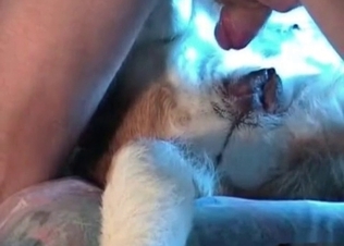 Truly fantastic amateur bestiality