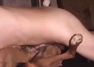 Cur is getting in the awesome bestiality