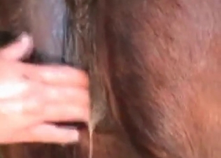 Anal fisting for my lovely trained stallion