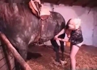Crazy stallion and blonde zoophile at the farm