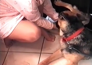 She is loving a cock of her dog