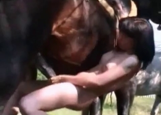 Colt and sexy dark-haired zoophile