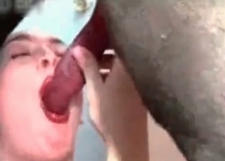 Trained animal is being sucked by a zoophile