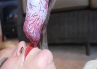 Posh teenager blows a pooch phallus